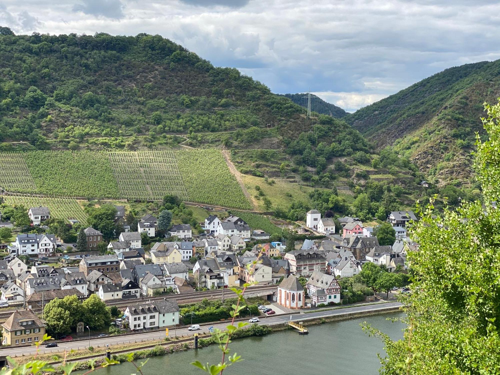 Mike'S Mosel Lodge Treis-Karden Ngoại thất bức ảnh