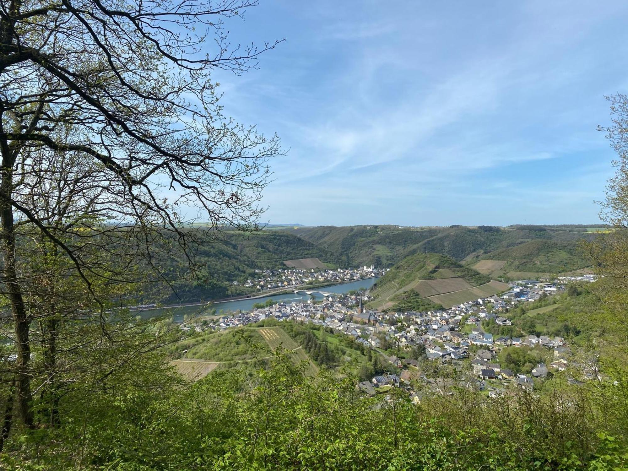 Mike'S Mosel Lodge Treis-Karden Ngoại thất bức ảnh